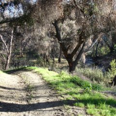 heading toward Rainbow Creek crossing
